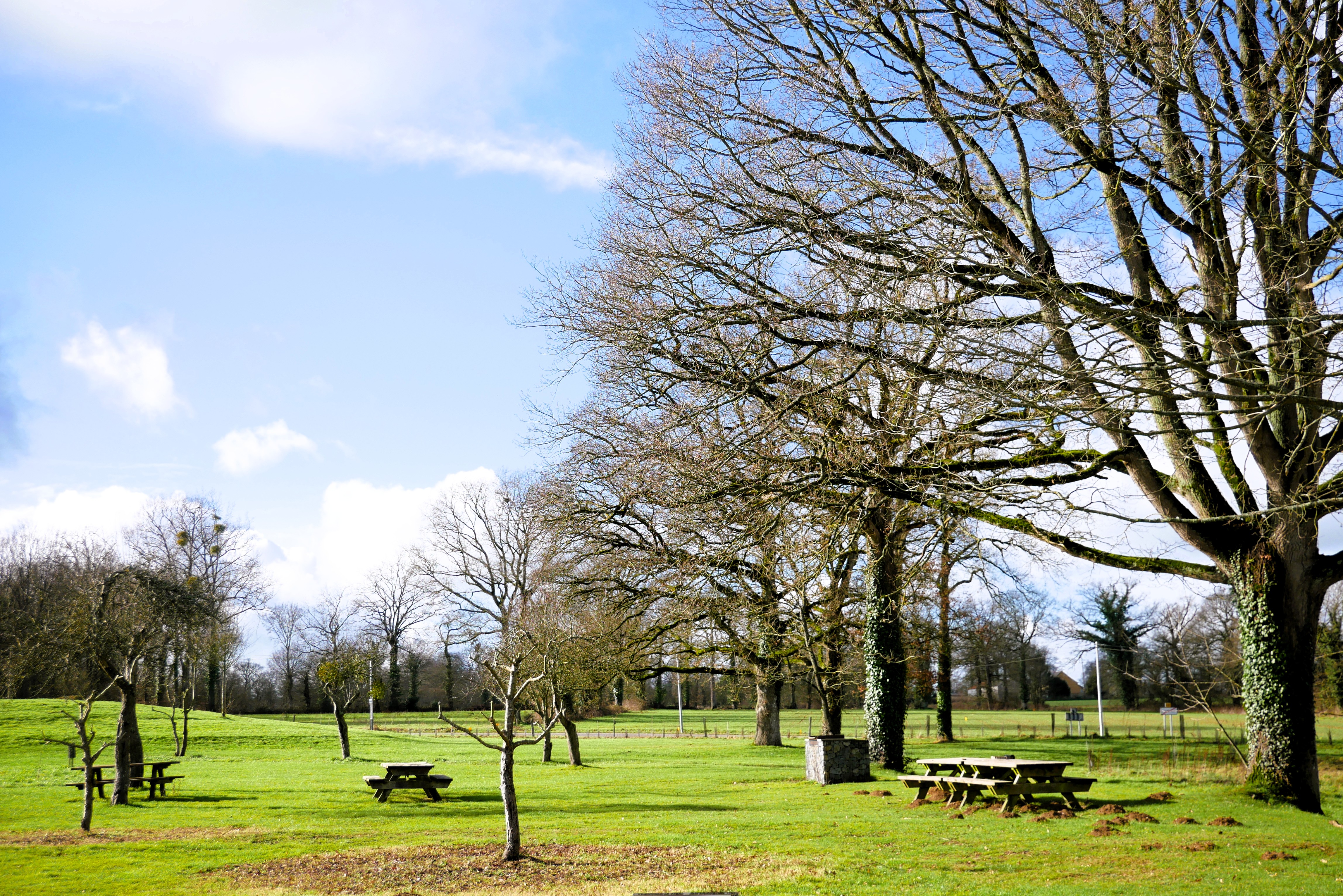 Parc et étang à Chasné-sur-Illet